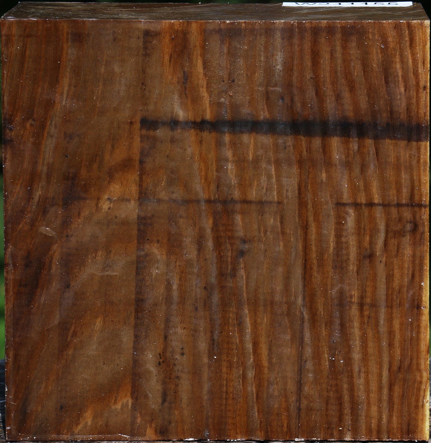 Russian Olive Bowl Blank