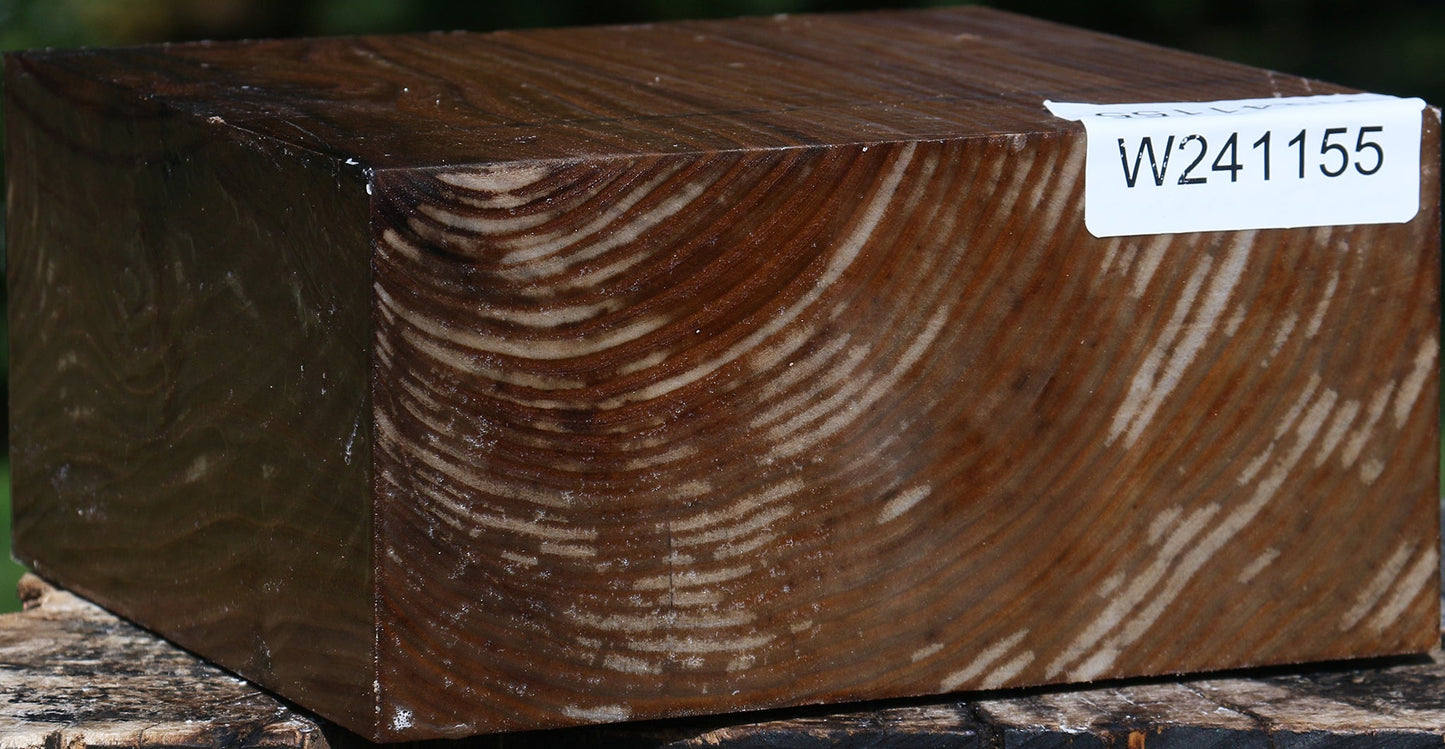 Russian Olive Bowl Blank