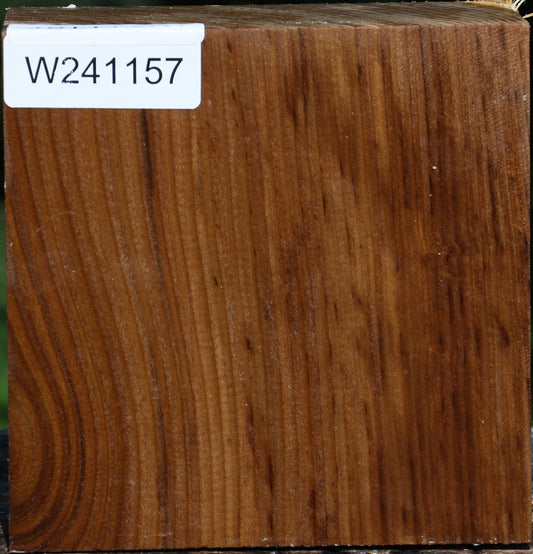 Russian Olive Bowl Blank