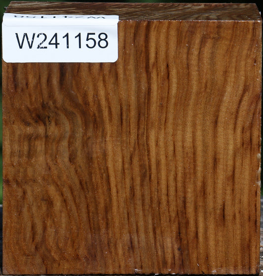 Russian Olive Bowl Blank