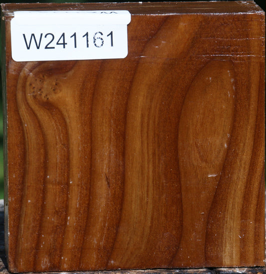 Russian Olive Bowl Blank