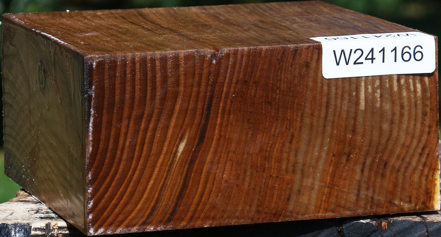 Russian Olive Bowl Blank