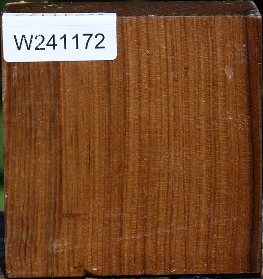 Russian Olive Bowl Blank