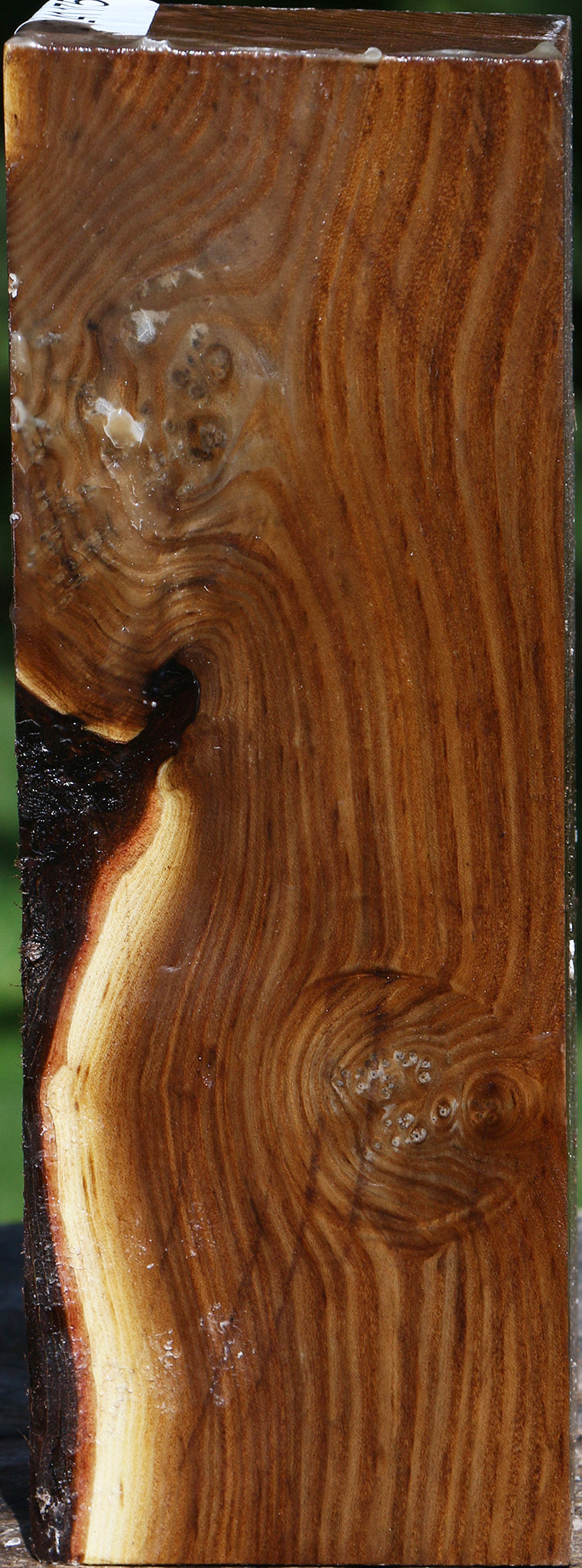 Russian Olive Peppermill