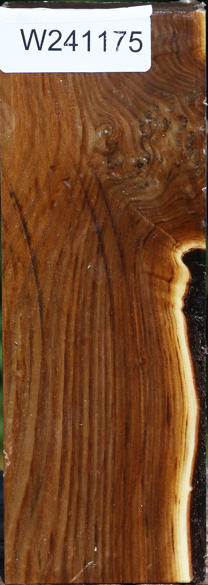 Russian Olive Peppermill