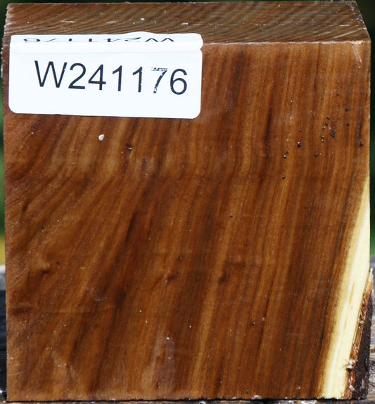 Russian Olive Bowl Blank