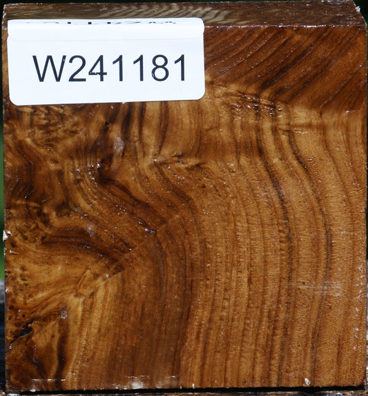 Figured Russian Olive Bowl Blank