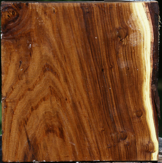 Russian Olive Bowl Blank