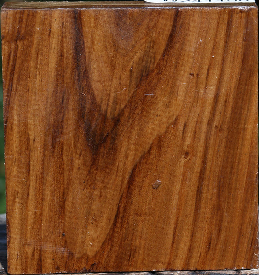 Russian Olive Bowl Blank