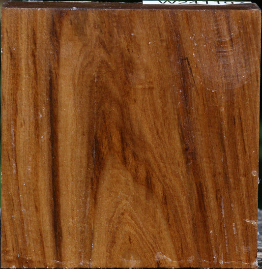 Russian Olive Bowl Blank