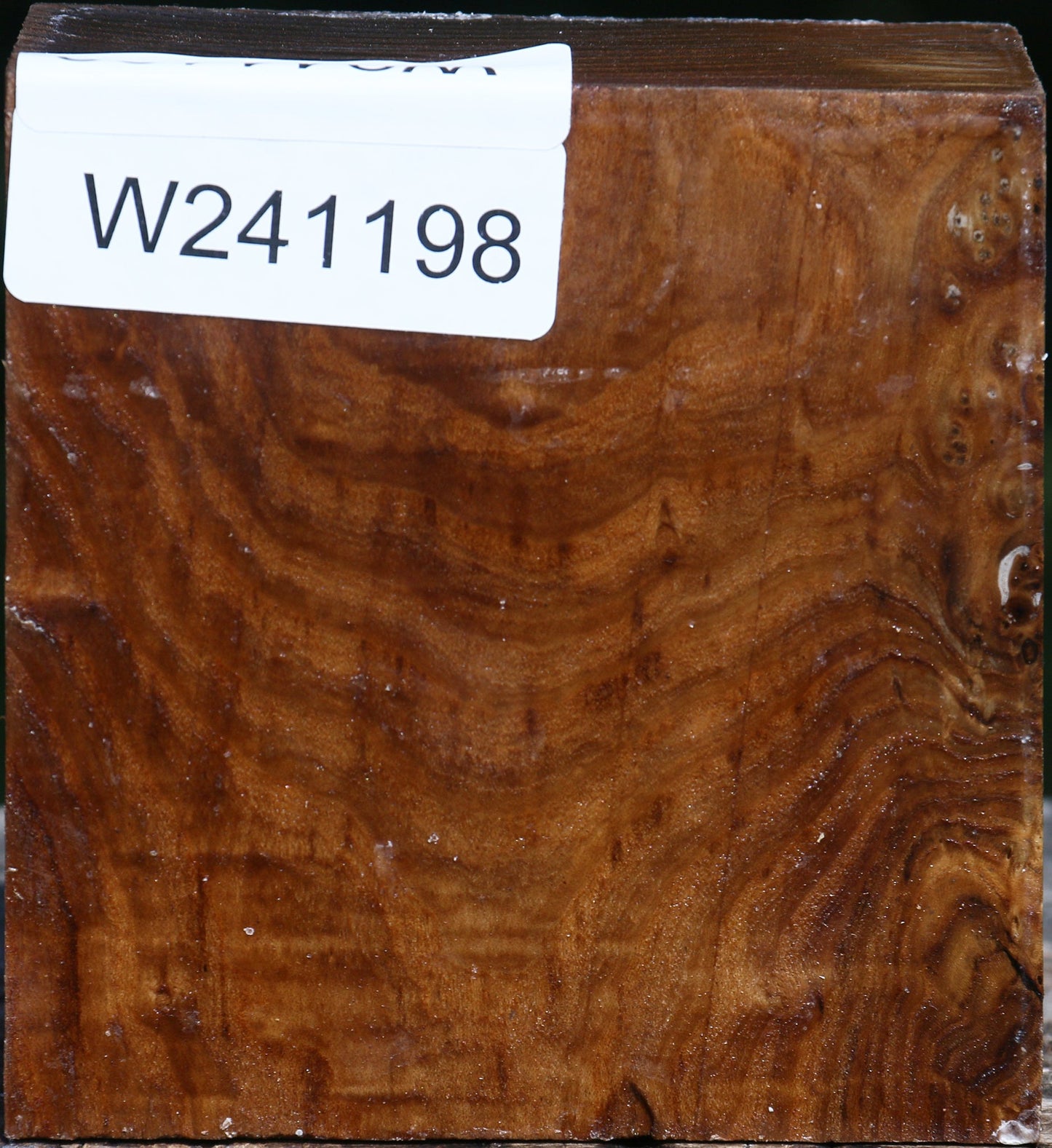 Russian Olive Bowl Blank