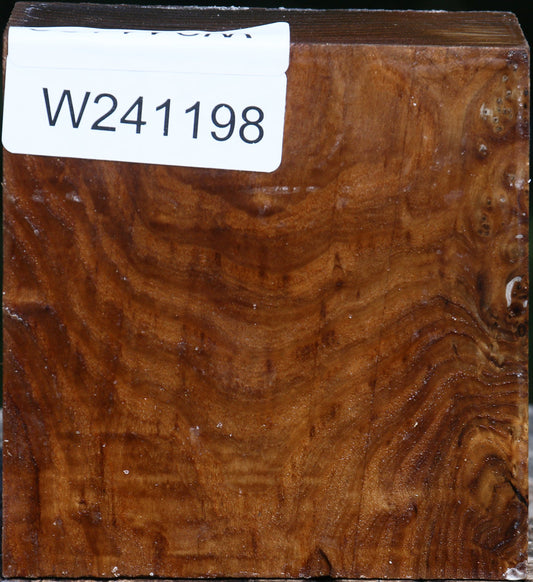 Russian Olive Bowl Blank