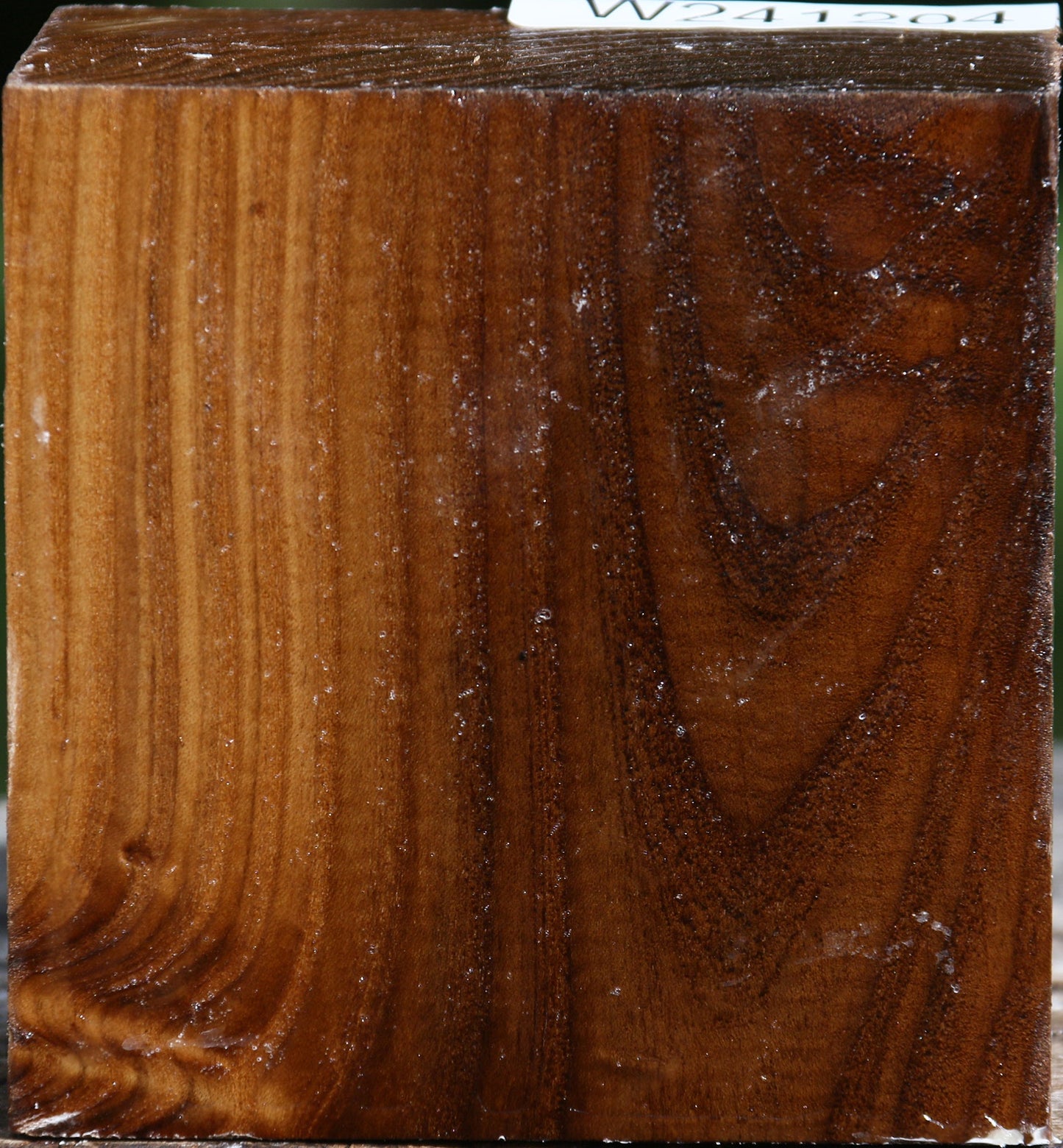 Russian Olive Bowl Blank