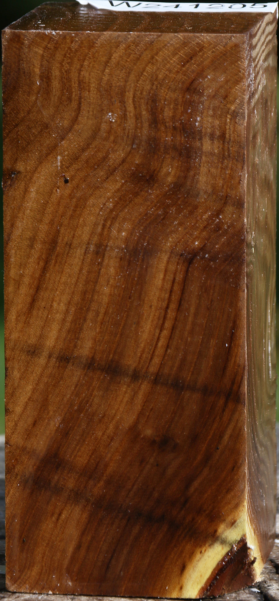 Figured Russian Olive Turning Square