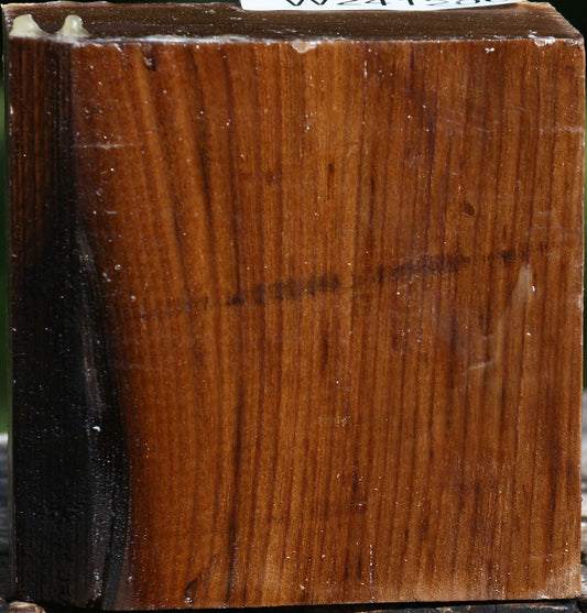 Russian Olive Bowl Blank