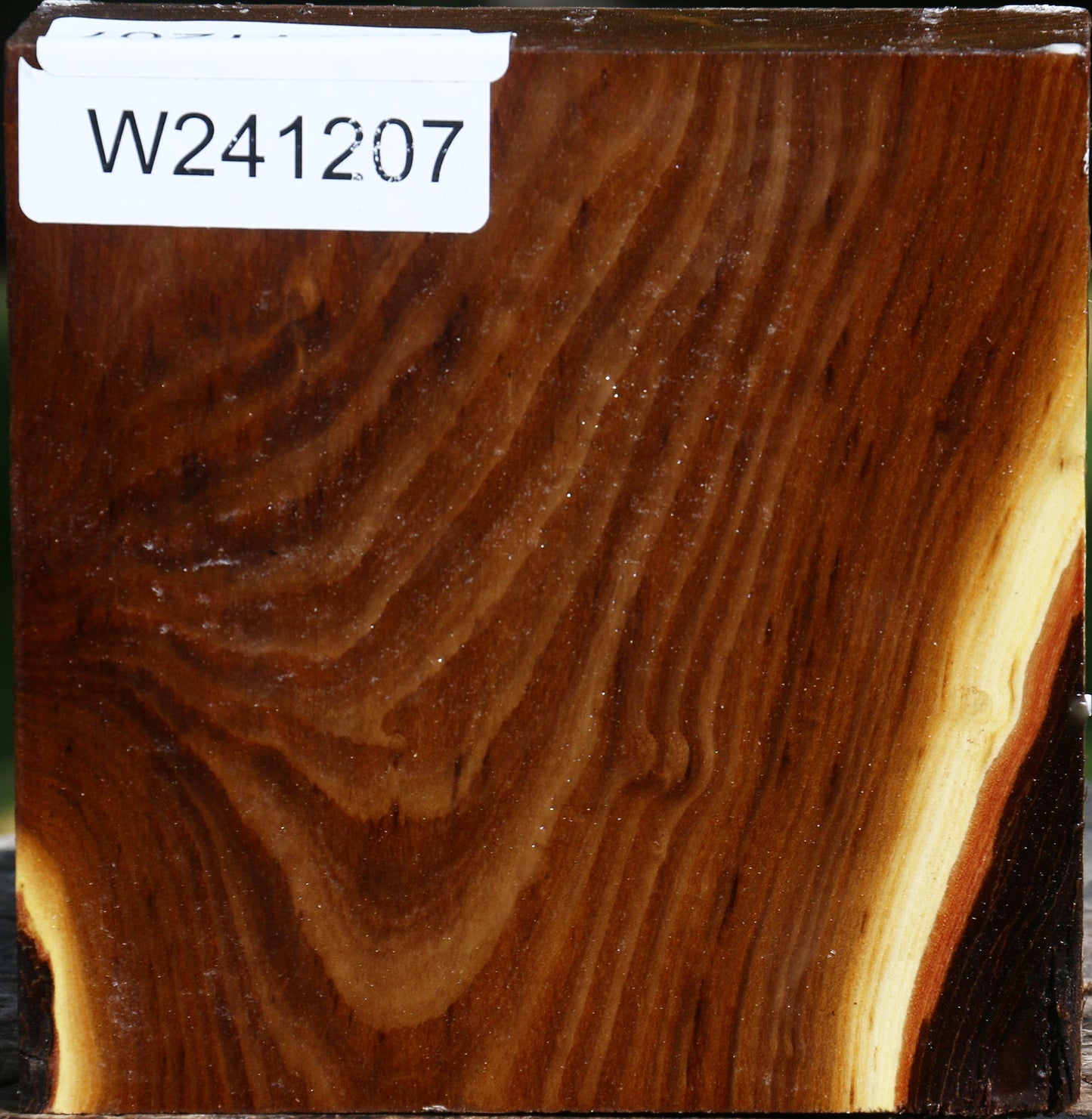 Russian Olive Bowl Blank