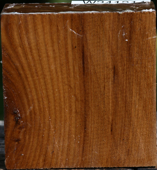 Russian Olive Bowl Blank