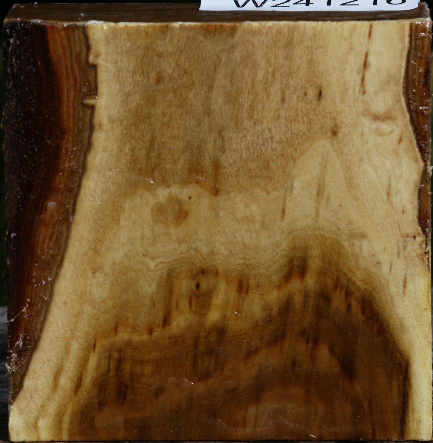 Russian Olive Bowl Blank