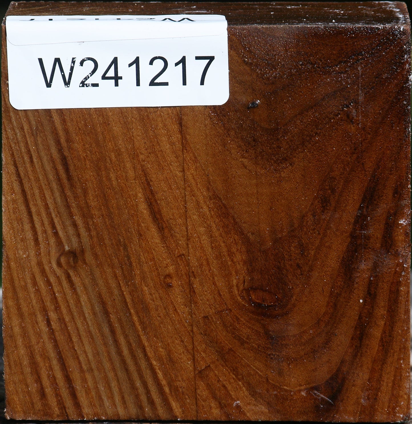 Russian Olive Bowl Blank