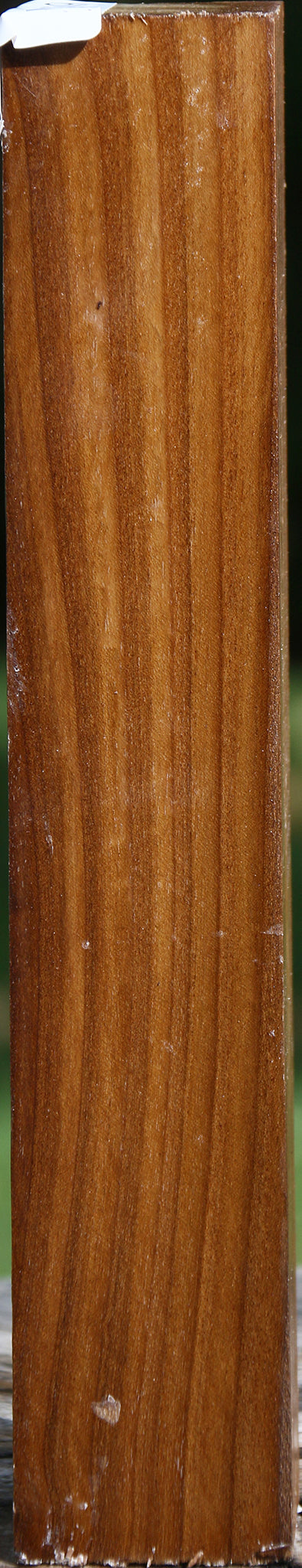 Russian Olive Turning Square