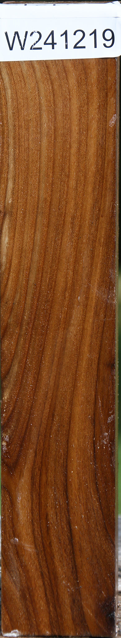 Russian Olive Turning Square