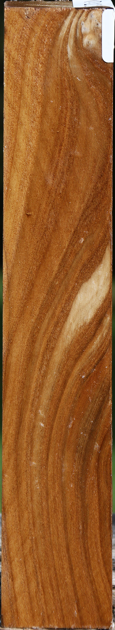 Russian Olive Turning Square