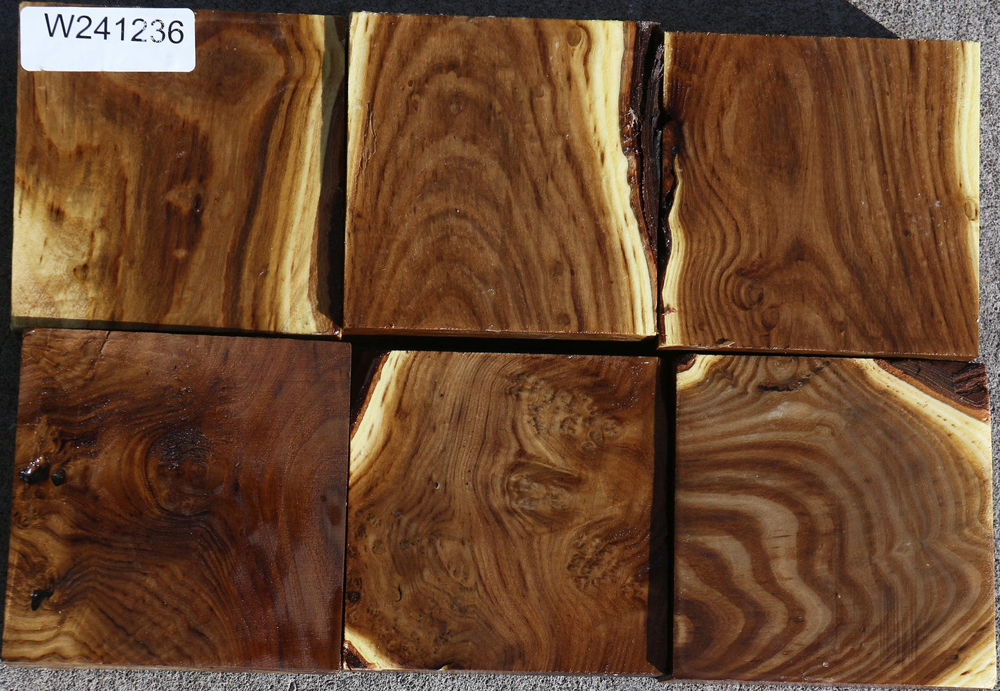 Russian Olive Turning Bargain Box