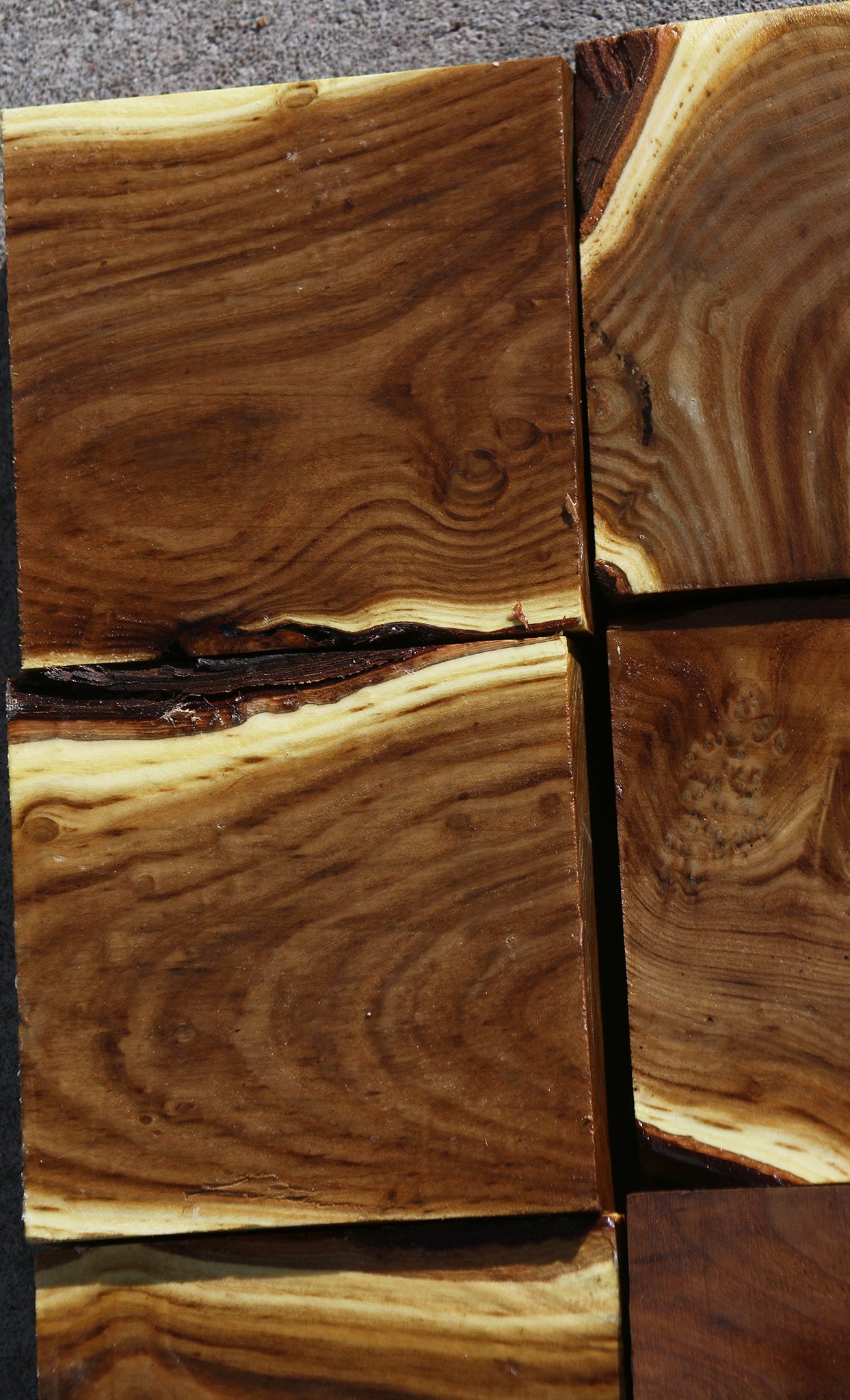 Russian Olive Turning Bargain Box