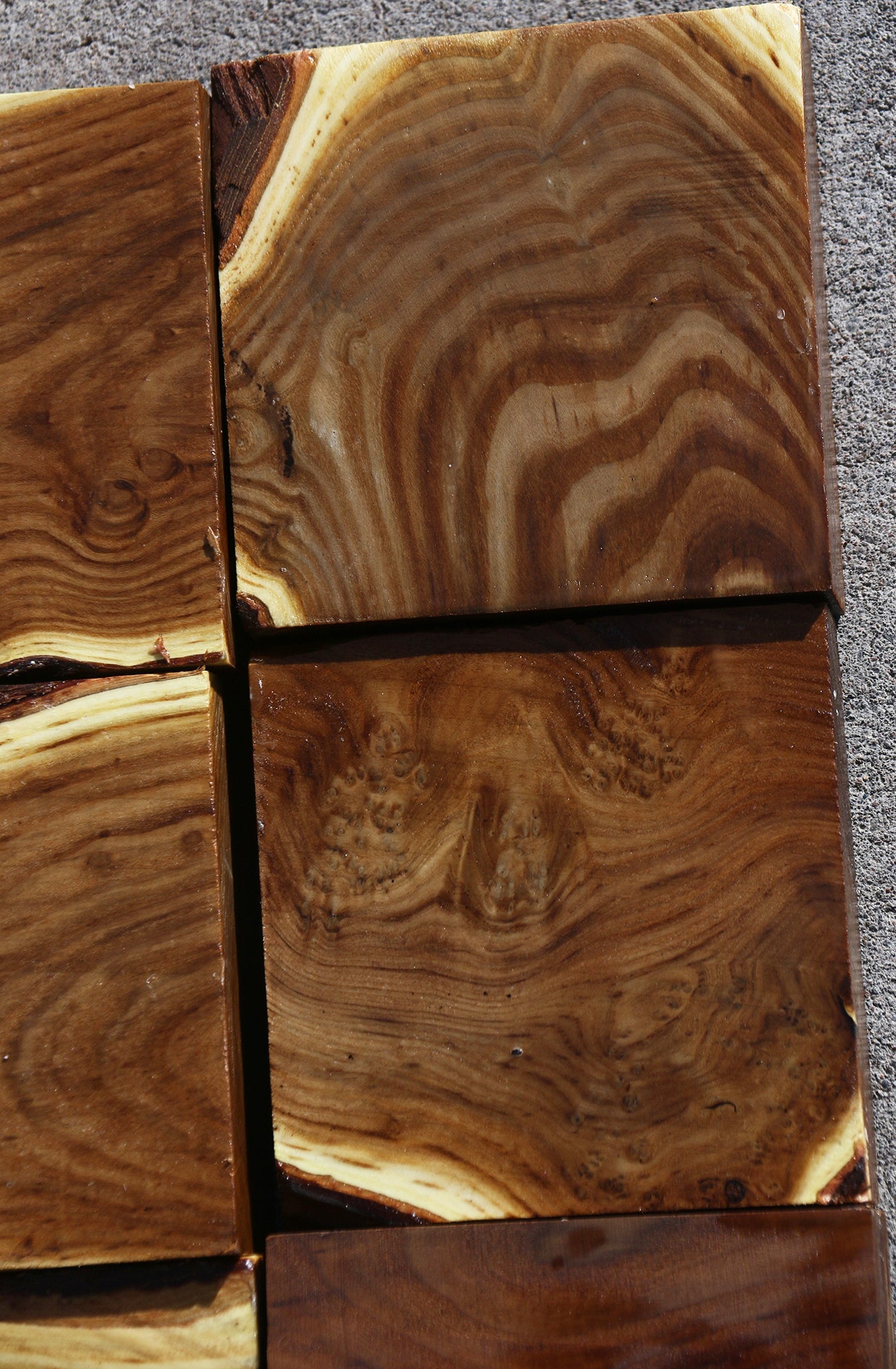 Russian Olive Turning Bargain Box