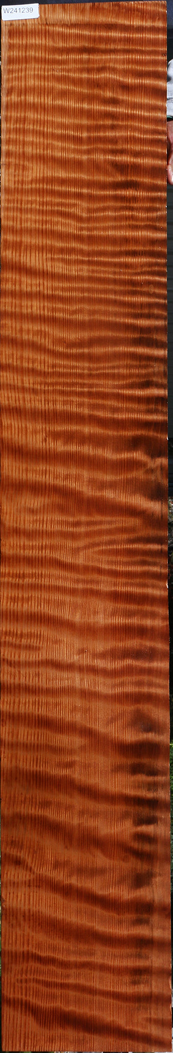 Curly Redwood Lumber