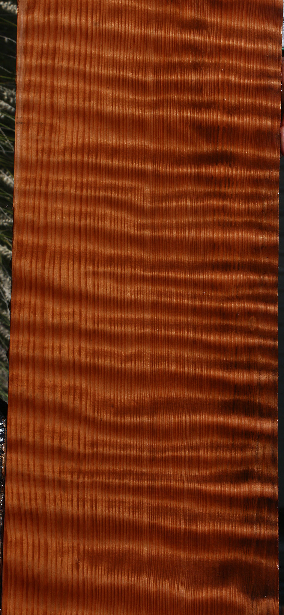 Curly Redwood Lumber