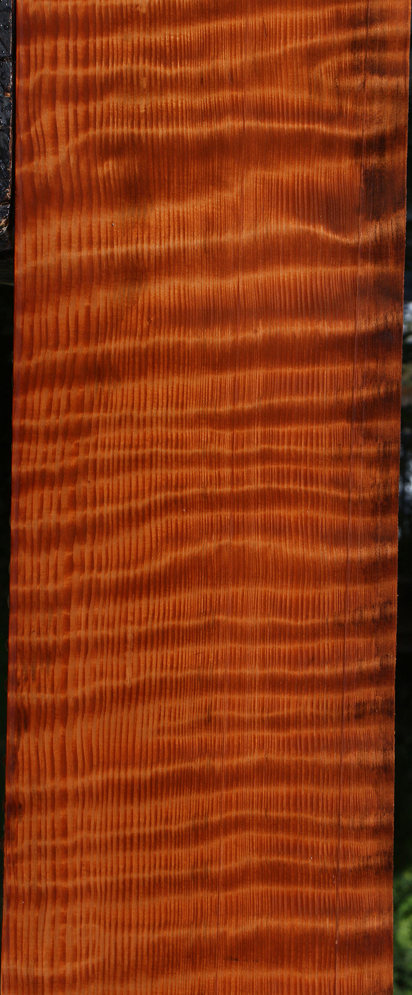 Curly Redwood Lumber