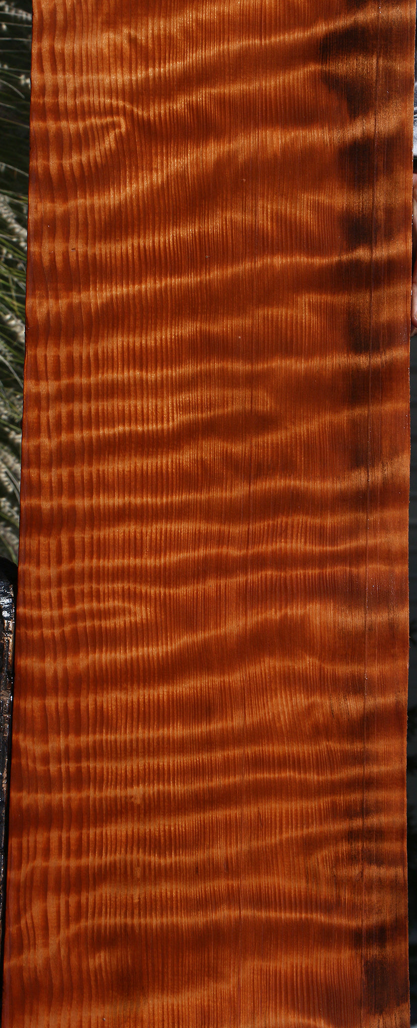 Curly Redwood Lumber