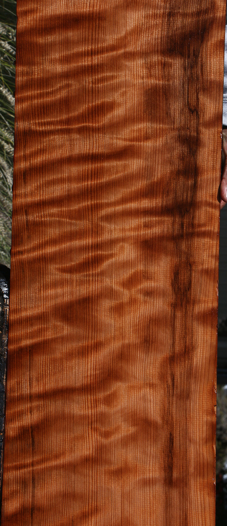 Curly Redwood Lumber