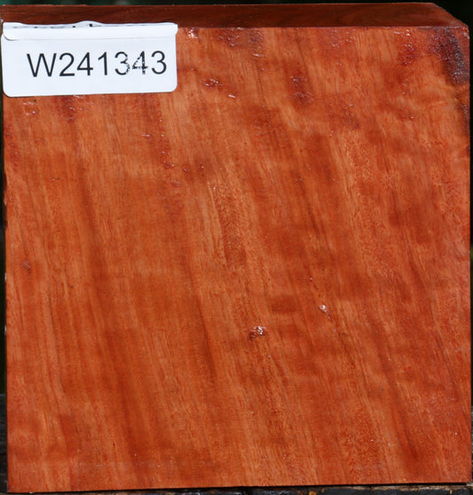 Red Ironbark Bowl Blank