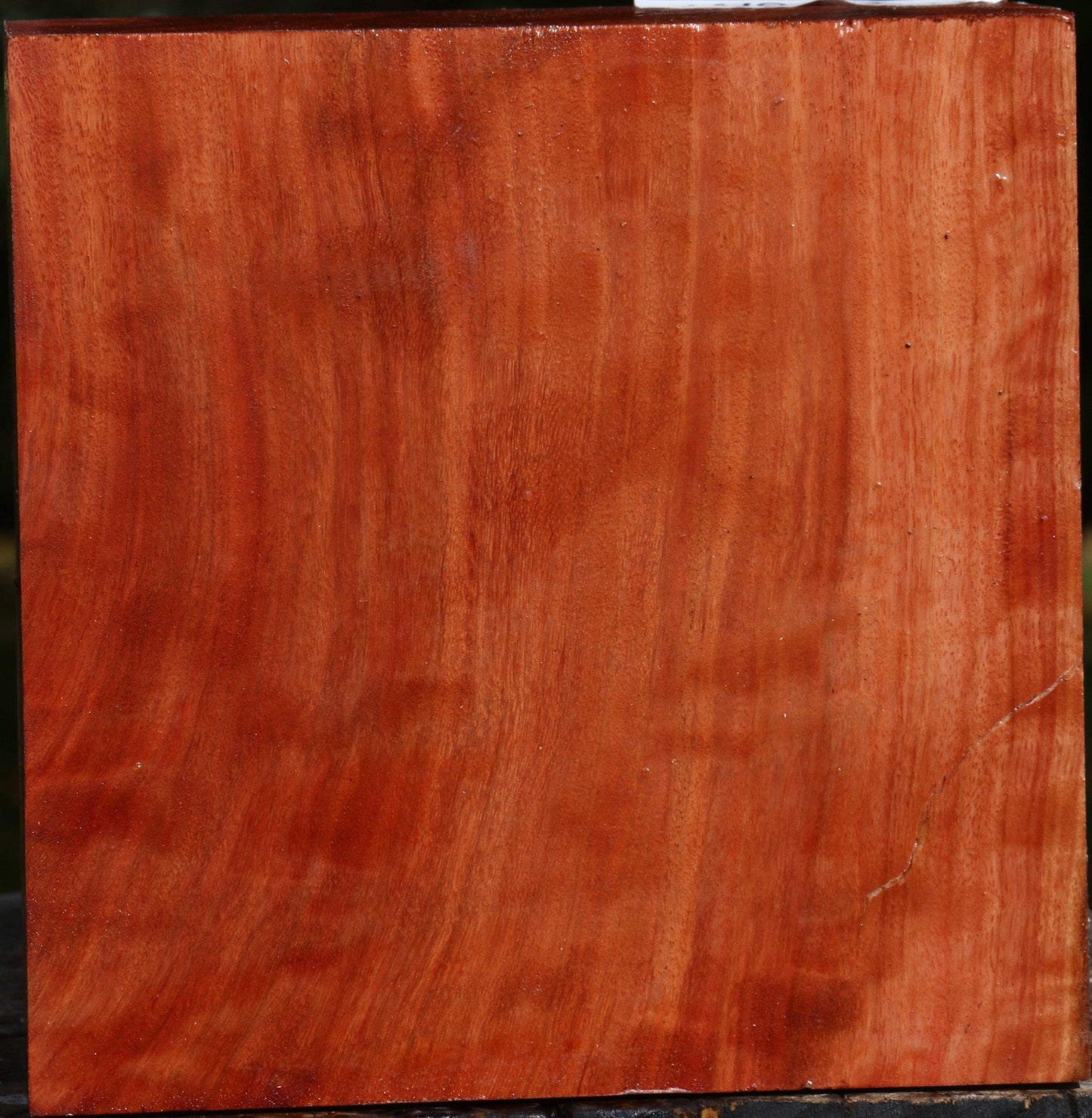 Red Ironbark Bowl Blank
