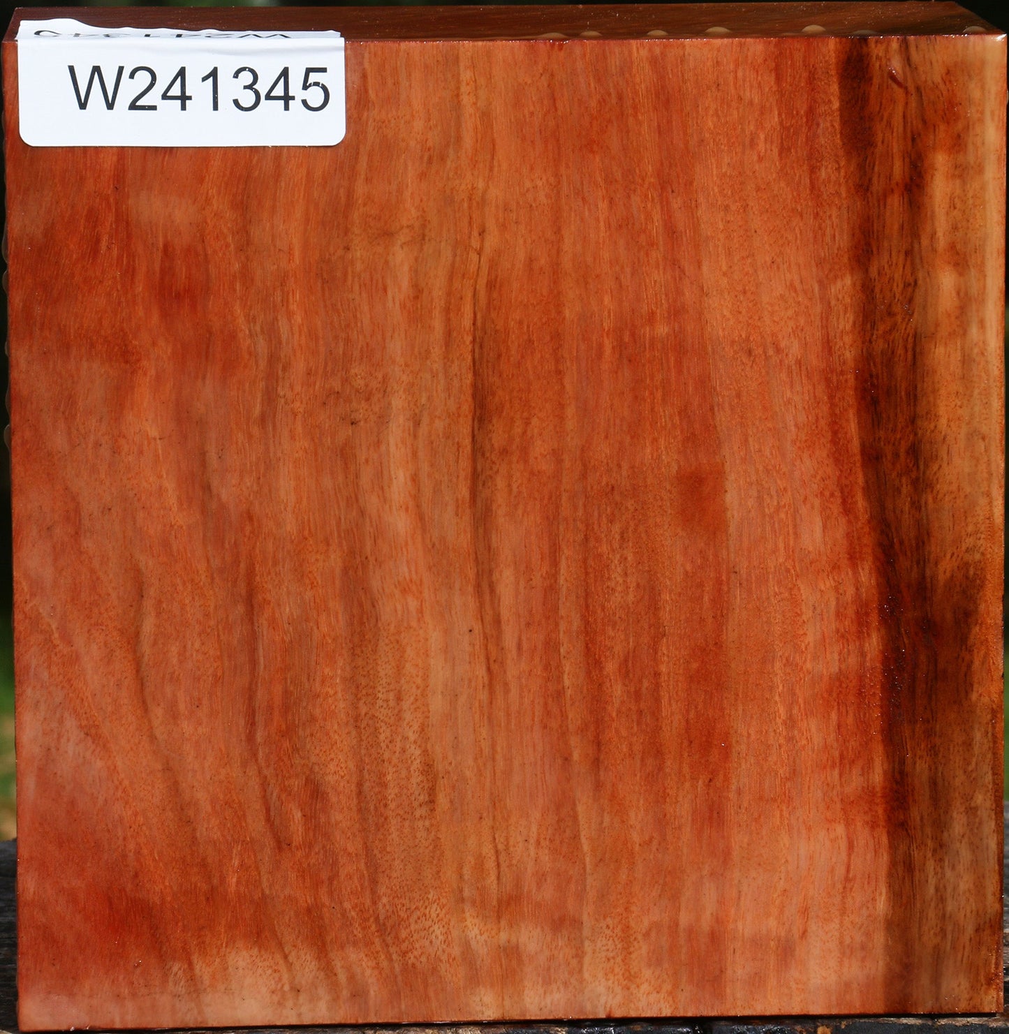 Figured Red Ironbark Bowl Blank