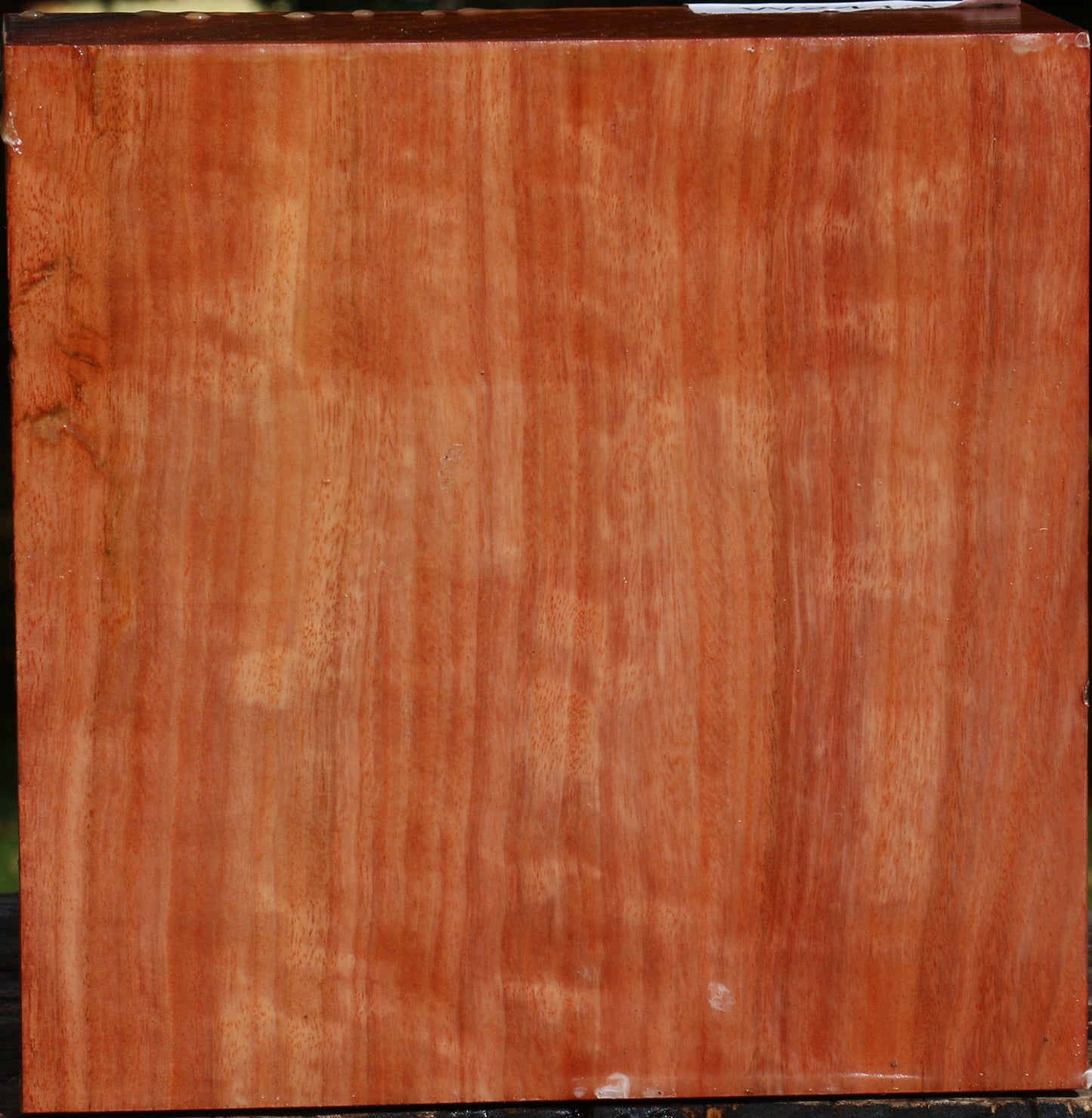 Figured Red Ironbark Bowl Blank