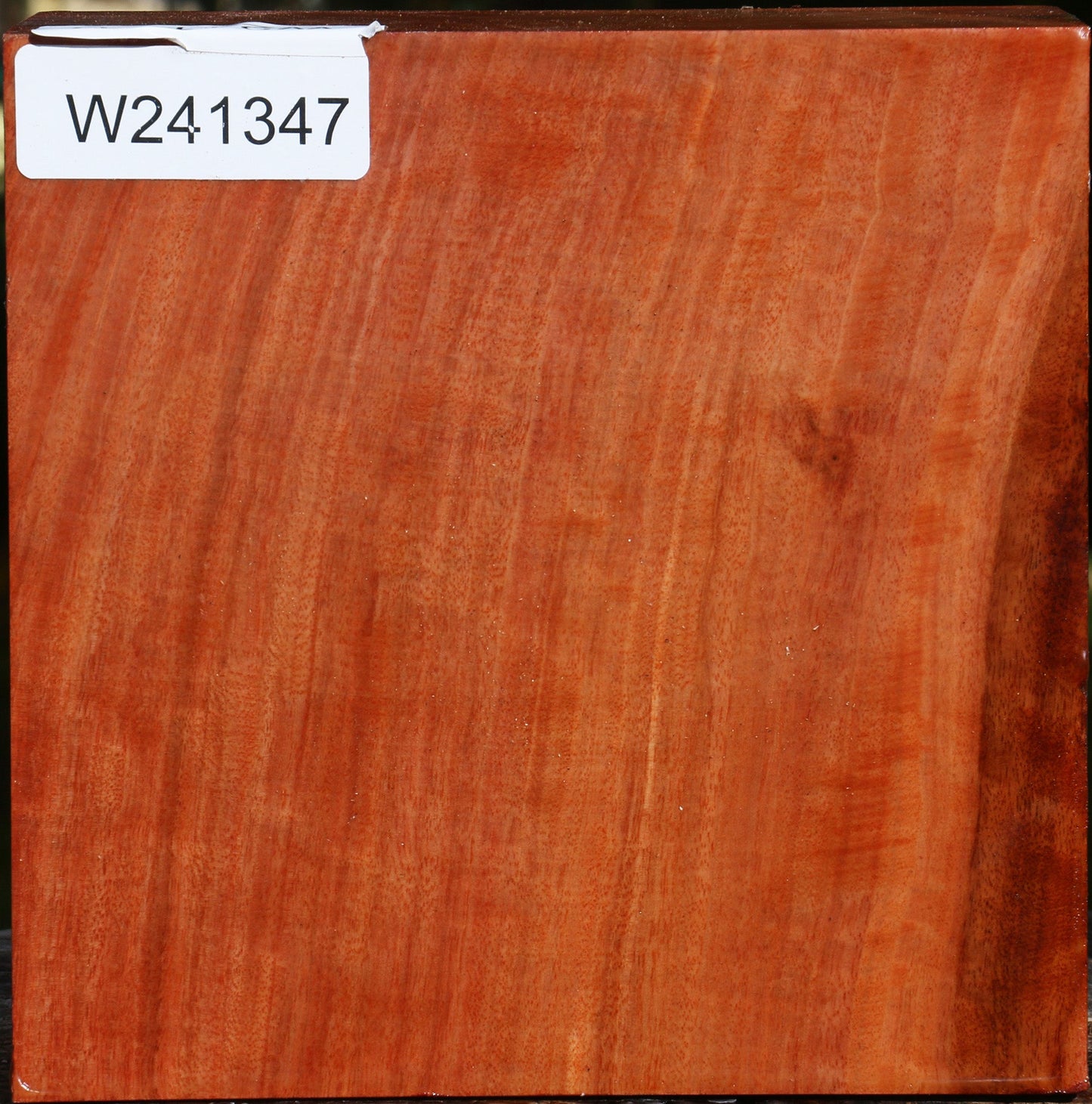 Red Ironbark Bowl Blank