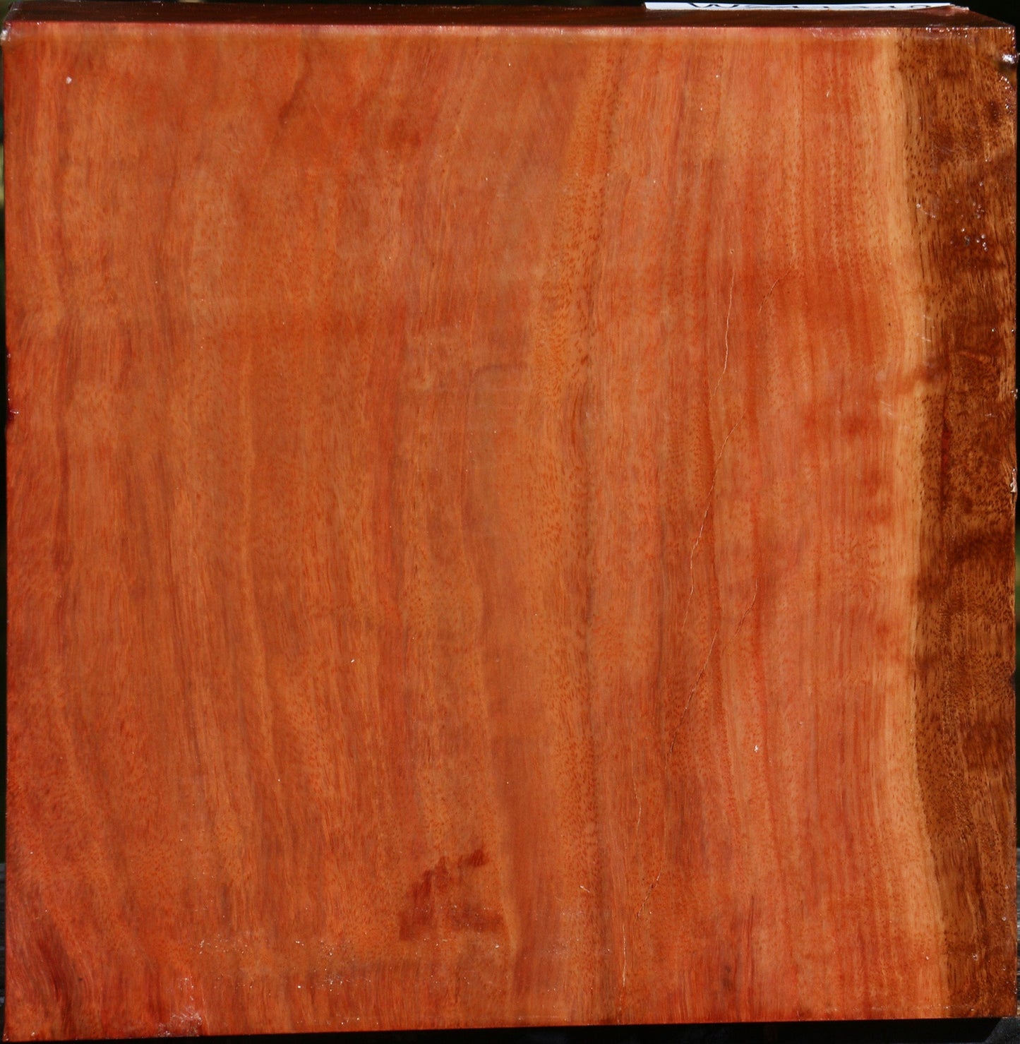 Figured Red Ironbark Bowl Blank