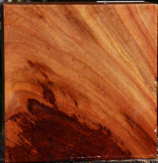 Extra Fancy Red Ironbark Bowl Blank