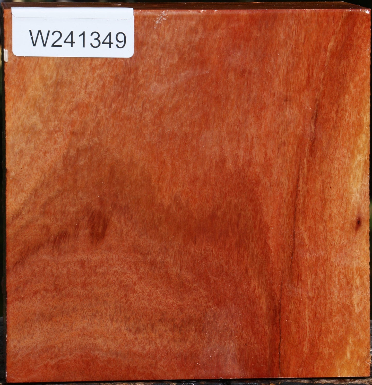 Extra Fancy Red Ironbark Bowl Blank