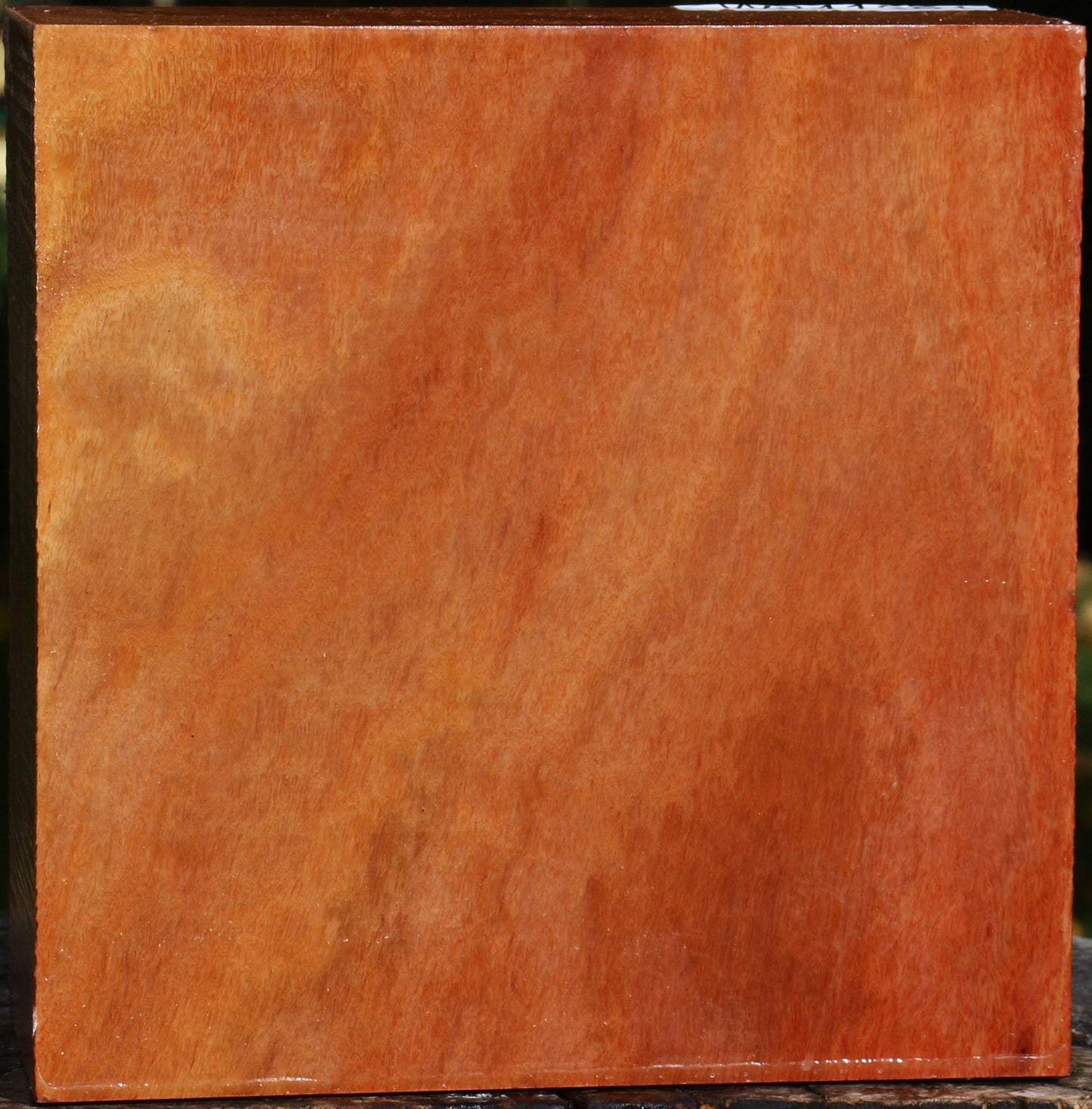 Extra Fancy Red Ironbark Bowl Blank