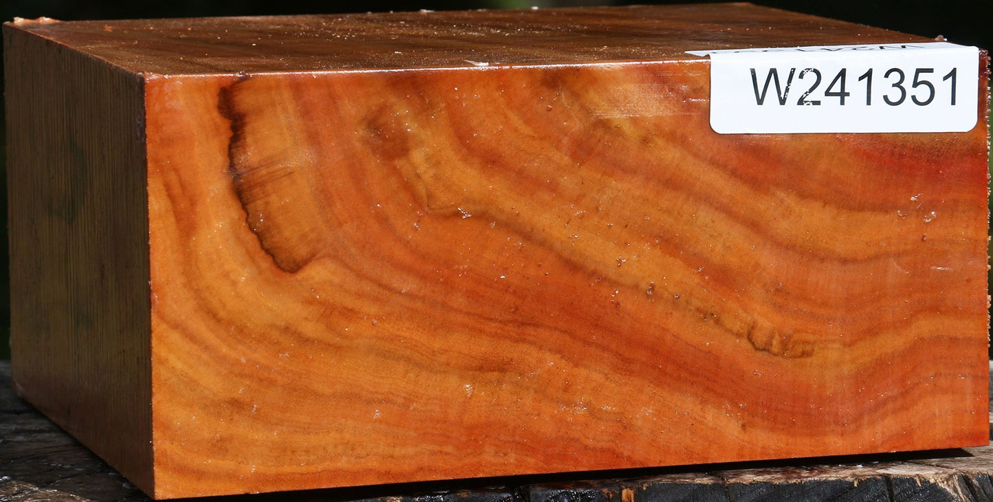 Extra Fancy Red Ironbark Bowl Blank