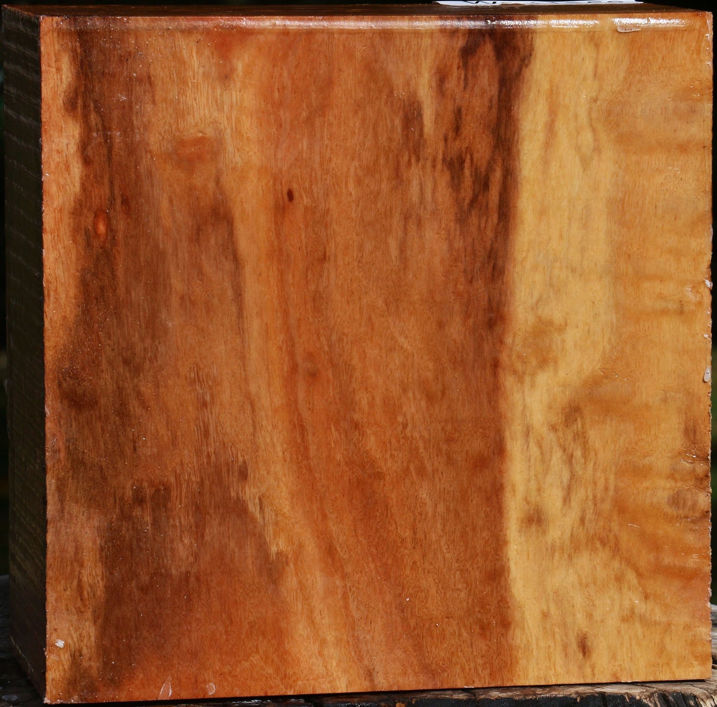 Figured Red Ironbark Bowl Blank