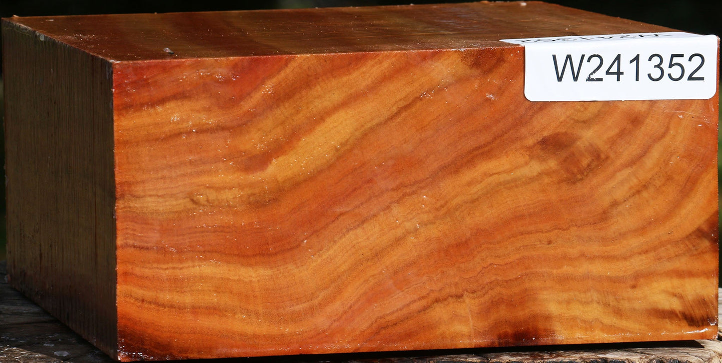 Figured Red Ironbark Bowl Blank