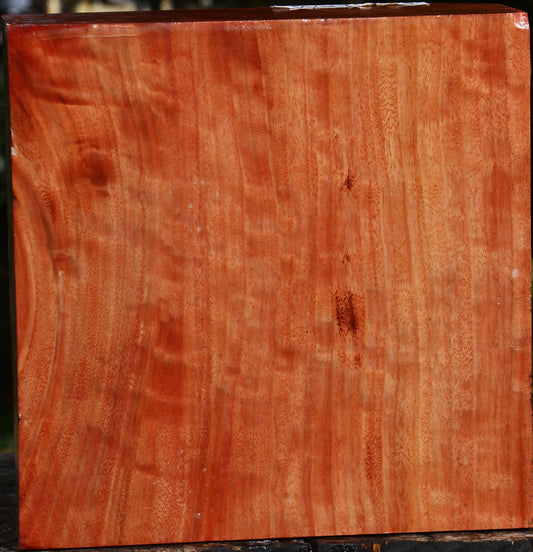 Figured Red Ironbark Bowl Blank