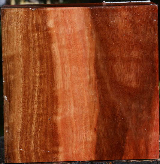 Figured Red Ironbark Bowl Blank