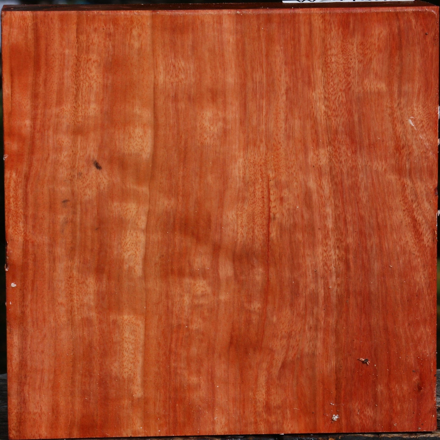 Red Ironbark Bowl Blank