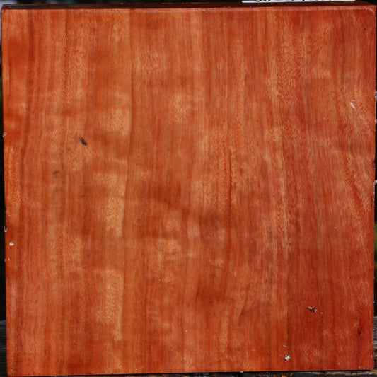 Red Ironbark Bowl Blank